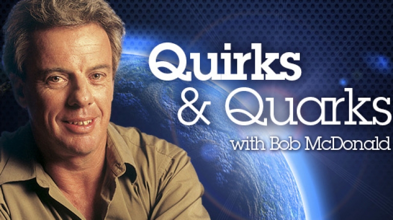 Quirks and Quarks